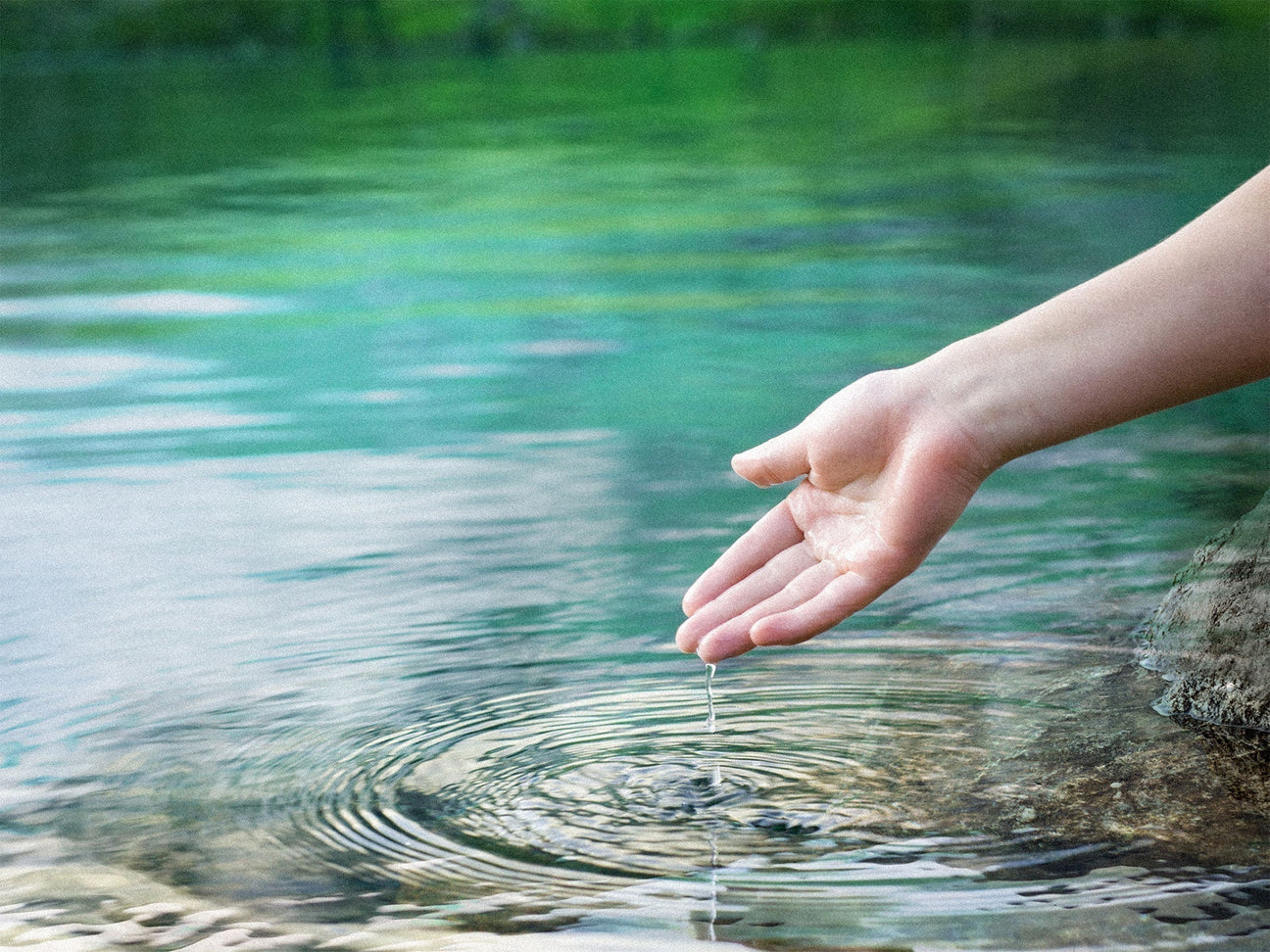 Everything You Need to Know About Vitamin B2