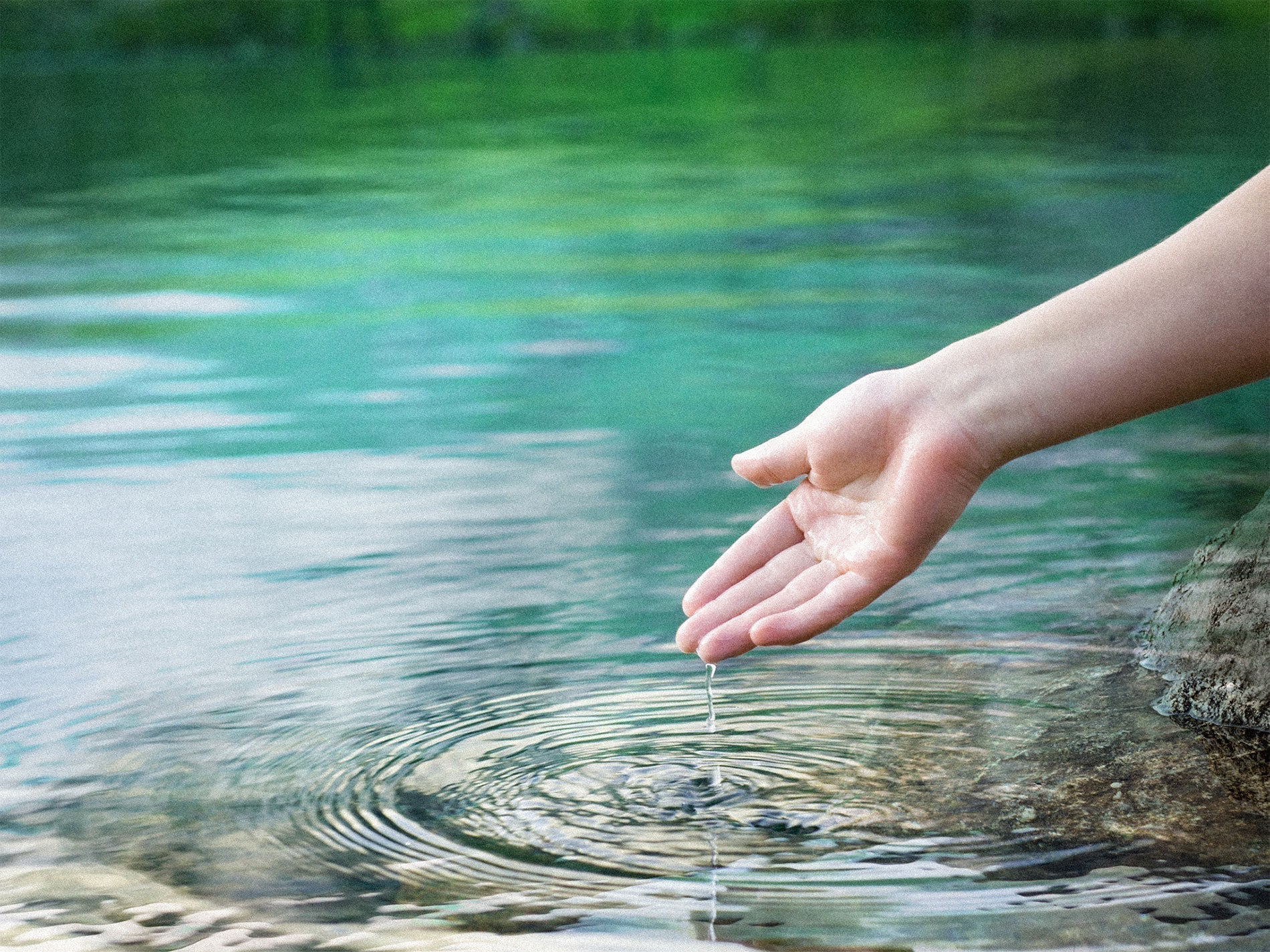 Everything You Need to Know About Vitamin B2