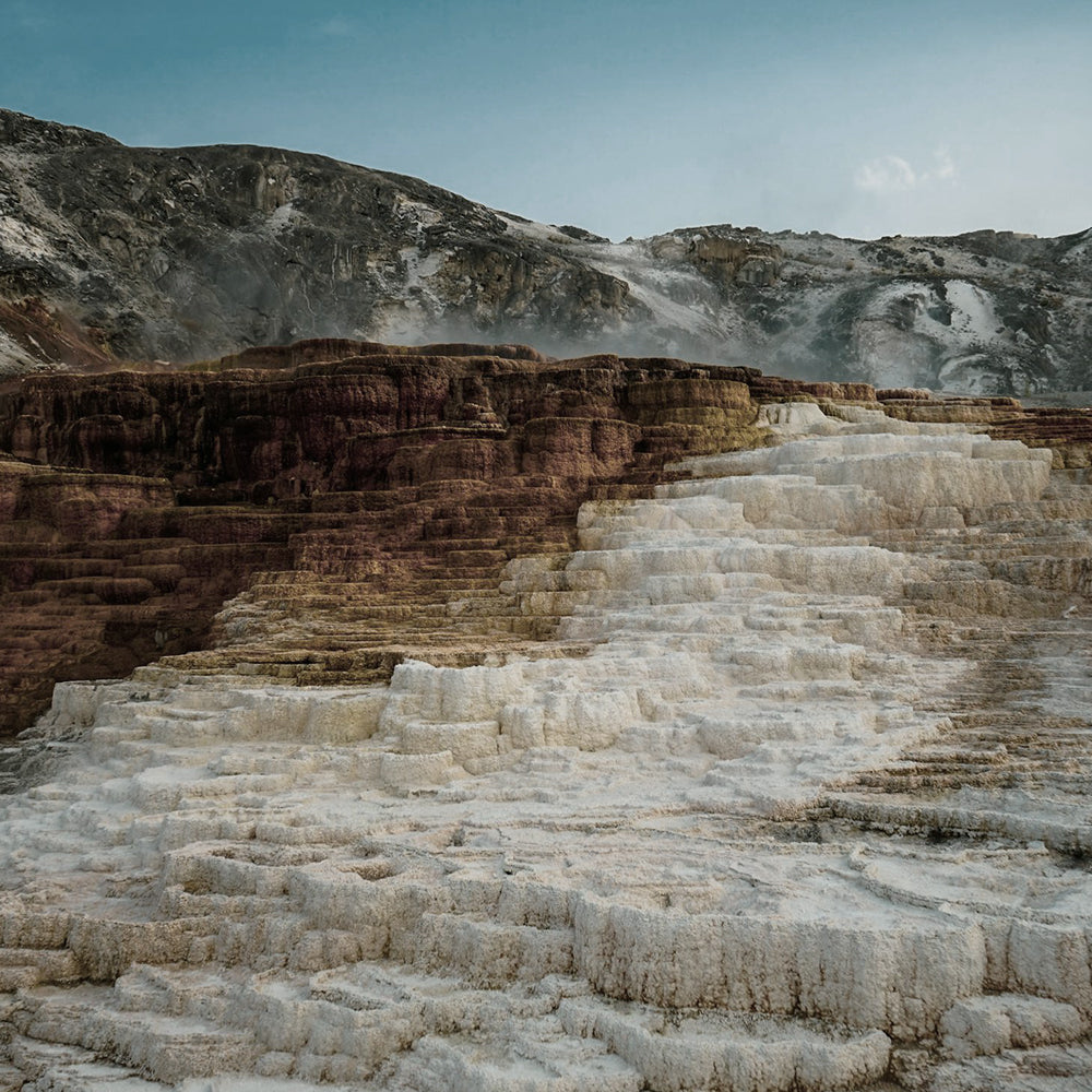 Magnesium: The Multitasker Among Minerals